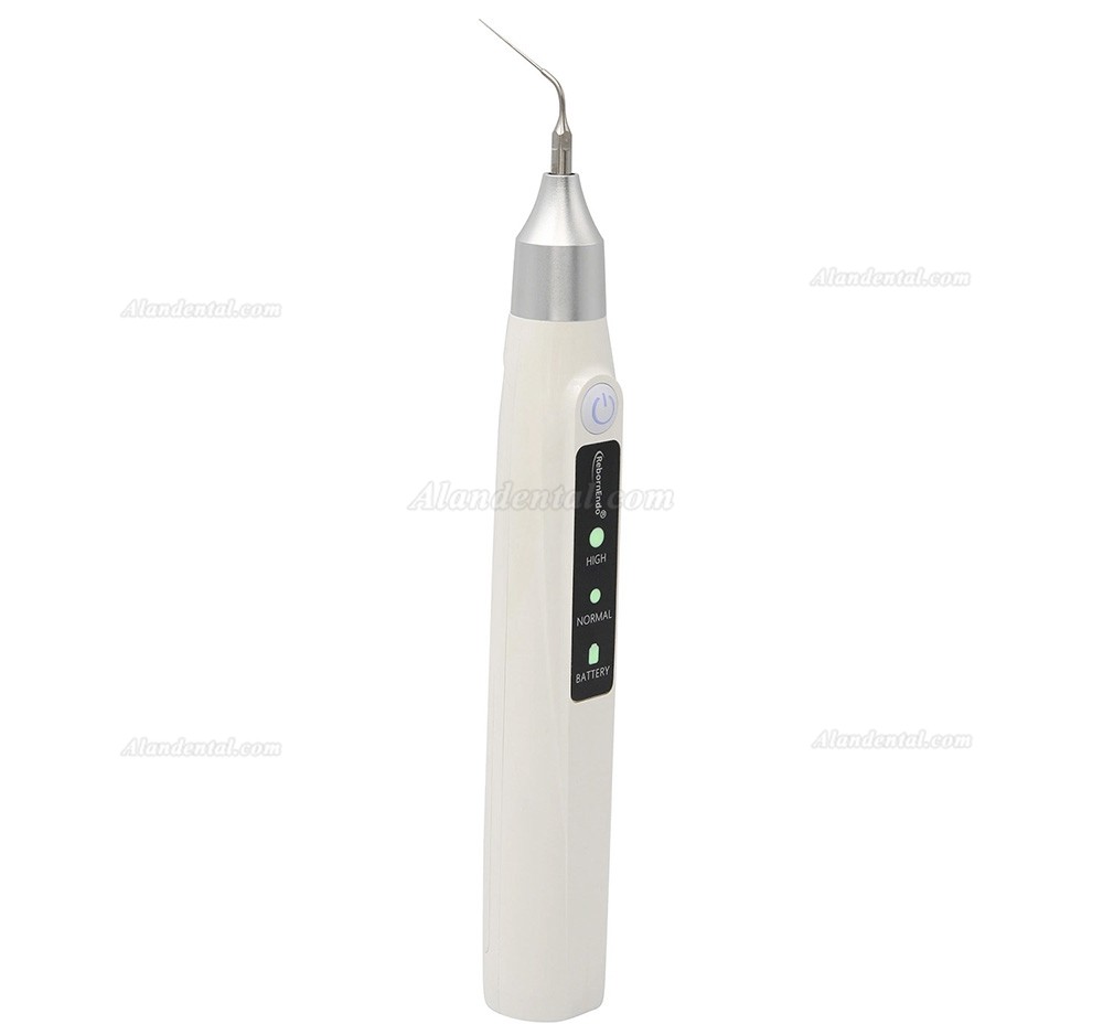 RebornEndo Ultra R6 Dental Wireless Ultrasonic Endo Activator